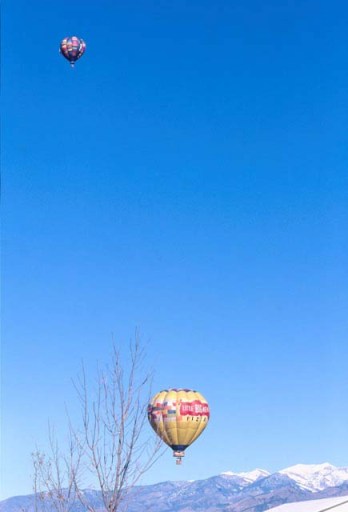 Hot Air Balloons over the Bridgers