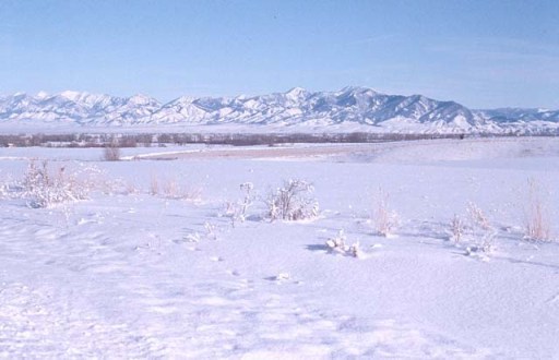 Bozeman, Montana in winter