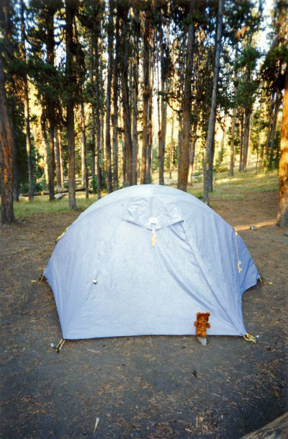 Pooky camping at Yellowstone