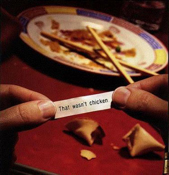Funny Sign - Fortune Cookie